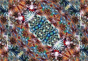 内部人士称《星空》不会登陆PS5 但其它Xbox游戏有可能